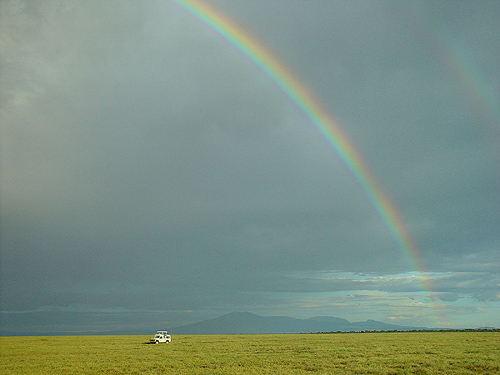 rainbow.serengeti.peron