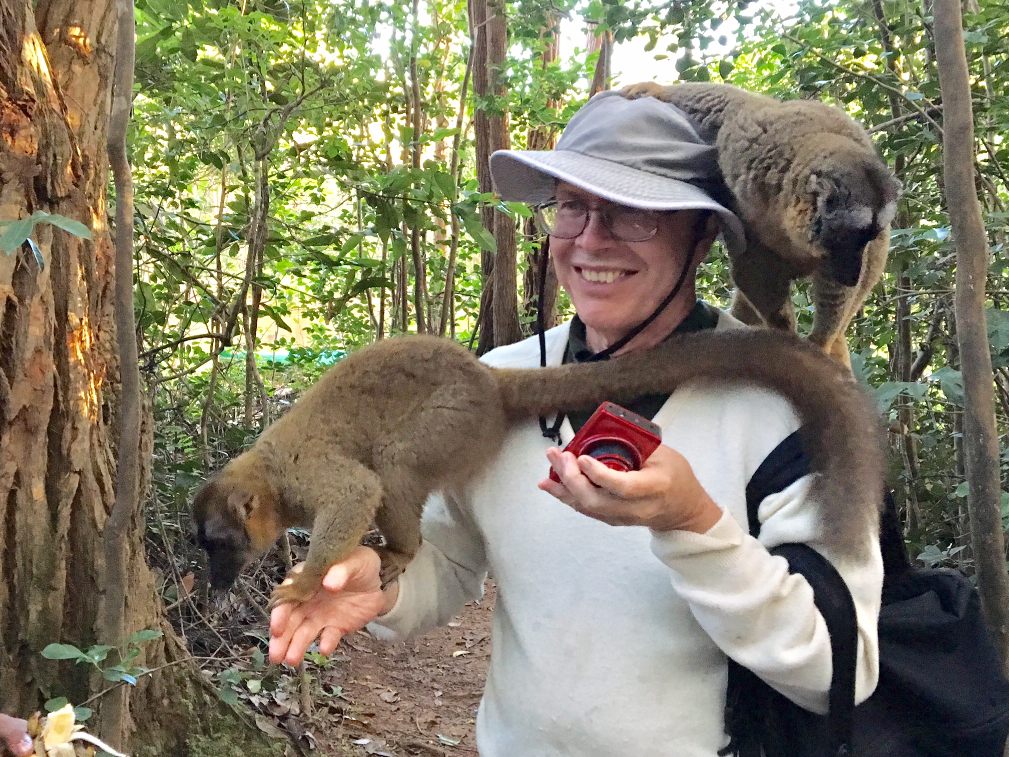 Lemurs Don't Understand Selfies